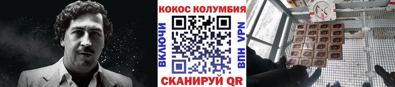 COCAIN 98%  МЕГА как войти  даркнет Telegram  Нефтегорск 
